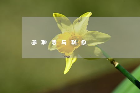 逾期费与利息 逾期费与利息