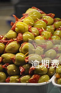 逾期费也在利息里吗 逾期费也在利息里吗