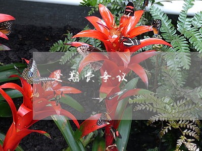 逾期费争议