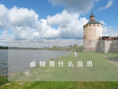 逾期费什么意思 逾期费什么意思