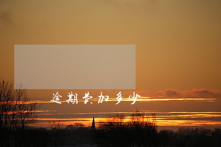 逾期费加多少 逾期费加多少