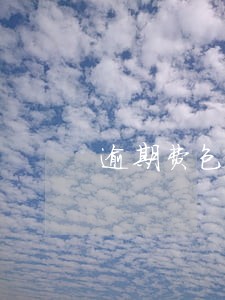 逾期费包含但不限于 逾期费包含但不限于