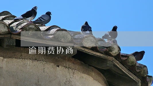 逾期费协商 逾期费协商