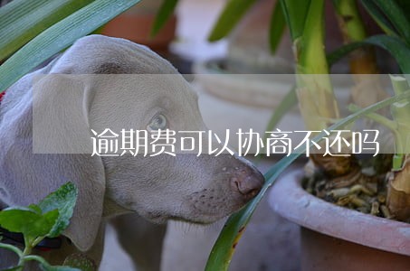 逾期费可以协商不还吗 逾期费可以协商不还吗
