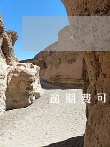 逾期费可以拒绝支付吗 逾期费可以拒绝支付吗