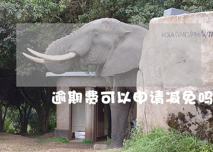 逾期费可以申请减免吗 逾期费可以申请减免吗