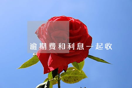 逾期费和利息一起收 逾期费和利息一起收
