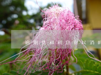 逾期费和利息可以消吗 逾期费和利息可以消吗