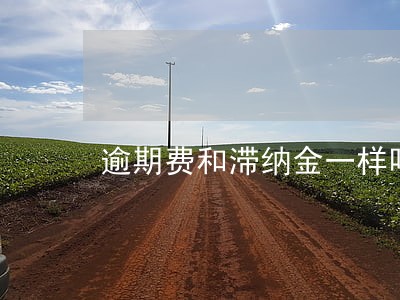逾期费和滞纳金一样吗
