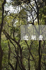 逾期费国家怎么算 逾期费国家怎么算