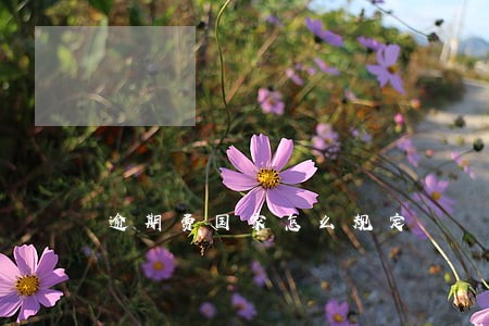 逾期费国家怎么规定 逾期费国家怎么规定