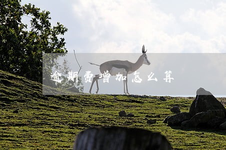 逾期费增加怎么算