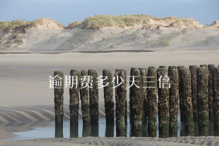 逾期费多少天三倍 逾期费多少天三倍