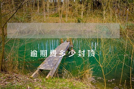逾期费多少封顶 逾期费多少封顶