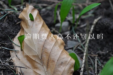 逾期费太高不还可以吗 逾期费太高不还可以吗