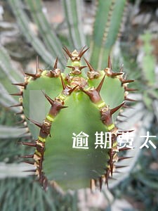 逾期费太高怎么诉讼 逾期费太高怎么诉讼