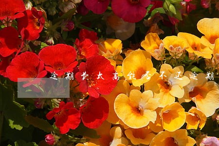 逾期费太高能否不还逾期费 逾期费太高能否不还逾期费