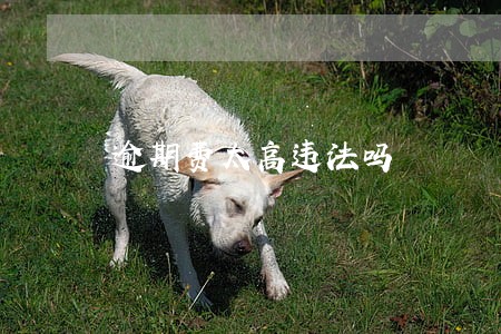 逾期费太高违法吗 逾期费太高违法吗