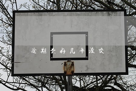 逾期费好几年没交 逾期费好几年没交