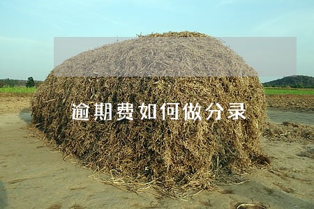 逾期费如何做分录 逾期费如何做分录