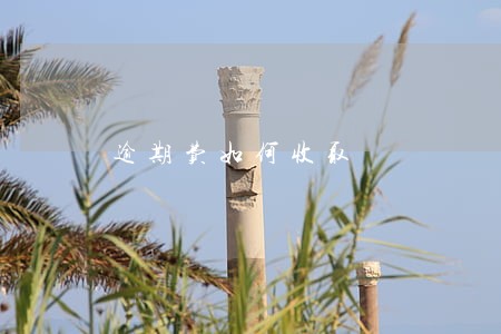 逾期费如何收取 逾期费如何收取