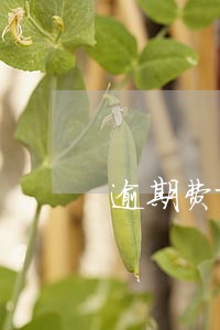 逾期费就是滞纳金么 逾期费就是滞纳金么
