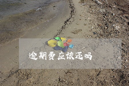 逾期费应该还吗 逾期费应该还吗