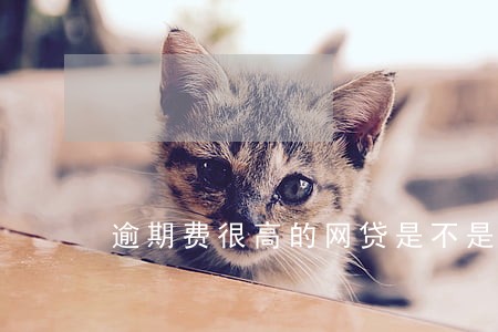 逾期费很高的网贷是不是不用还 逾期费很高的网贷是不是不用还