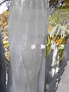 逾期费怎样计算 逾期费怎样计算