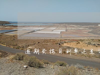 逾期费按日利率还是年利率算