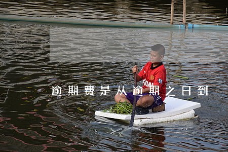 逾期费是从逾期之日到 逾期费是从逾期之日到