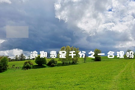逾期费是千分之一合理吗 逾期费是千分之一合理吗