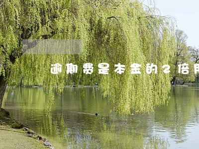 逾期费是本金的2倍用还钱么 逾期费是本金的2倍用还钱么