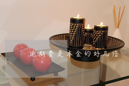 逾期费是本金的好几倍