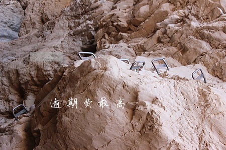 逾期费最高 逾期费最高