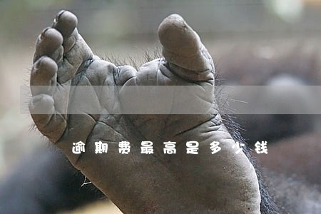 逾期费最高是多少钱 逾期费最高是多少钱