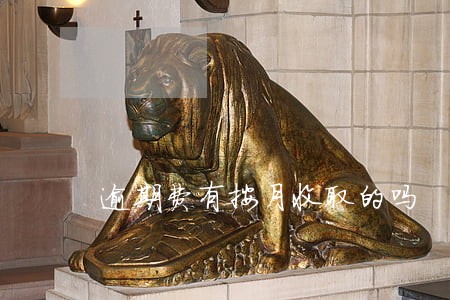 逾期费有按月收取的吗 逾期费有按月收取的吗