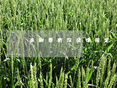 逾期费有没法律规定 逾期费有没法律规定