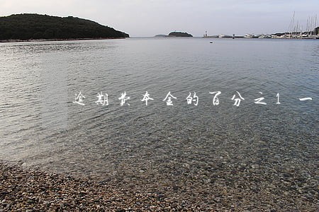 逾期费本金的百分之1一天 逾期费本金的百分之1一天