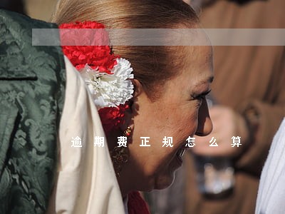 逾期费正规怎么算 逾期费正规怎么算