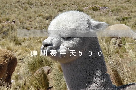 逾期费每天500 逾期费每天500