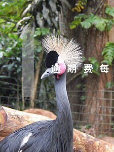逾期费每天四十合法吗 逾期费每天四十合法吗