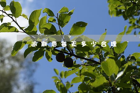 逾期费每天多少合理 逾期费每天多少合理