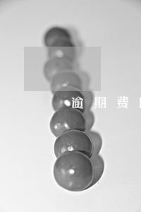 逾期费比本金 逾期费比本金