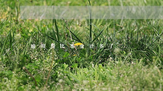 逾期费比本金还多了 逾期费比本金还多了