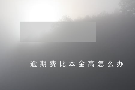 逾期费比本金高怎么办 逾期费比本金高怎么办