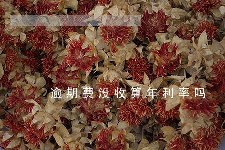 逾期费没收算年利率吗 逾期费没收算年利率吗