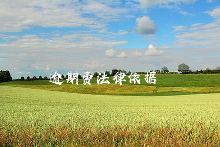 逾期费法律依据 逾期费法律依据