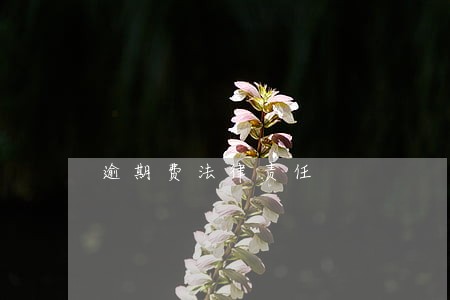 逾期费法律责任 逾期费法律责任
