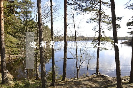 逾期费滞纳金上征信吗 逾期费滞纳金上征信吗